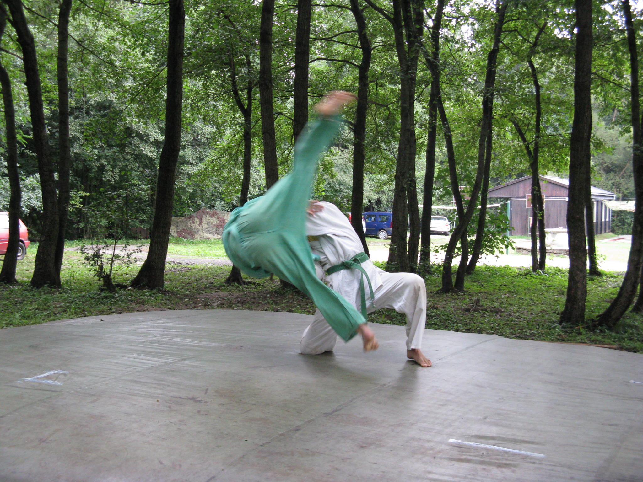 Uki otoši