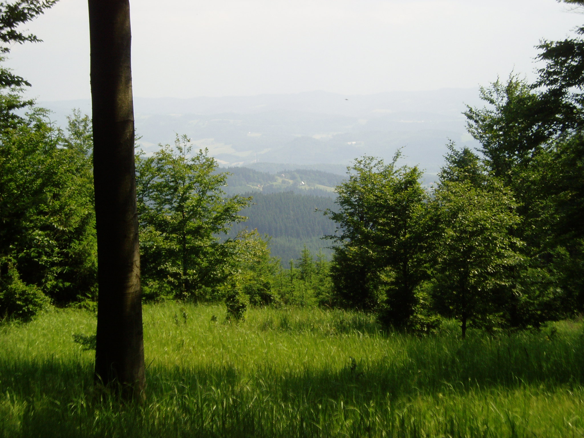P1010579.JPG