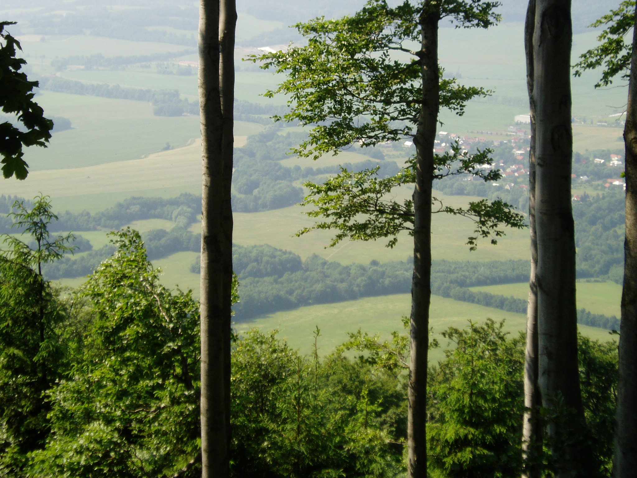 P1010580.JPG