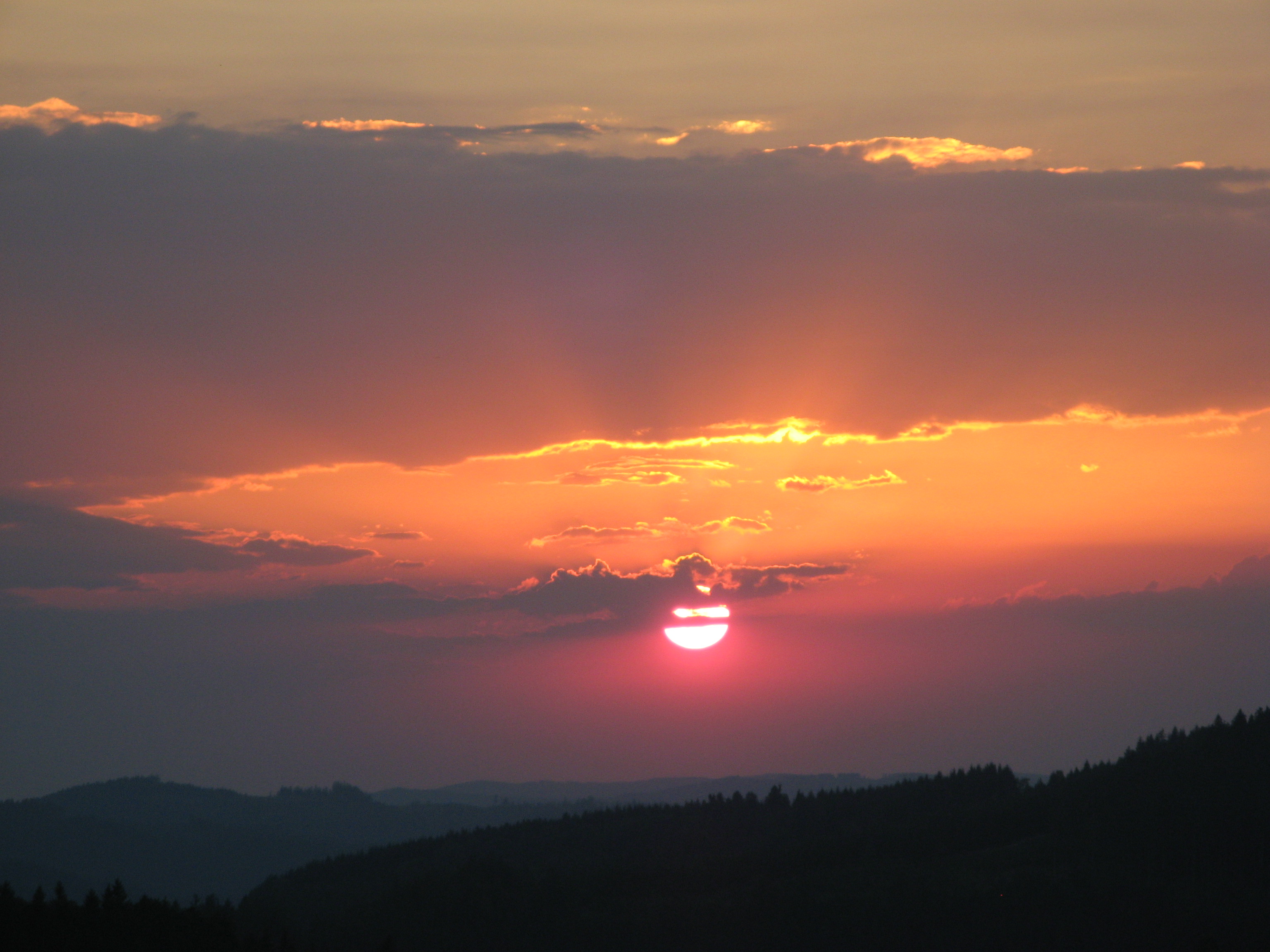 IMG_1770.JPG